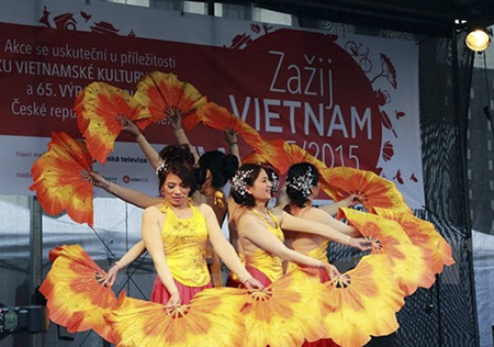 Vietnam Experience in Czech Republic